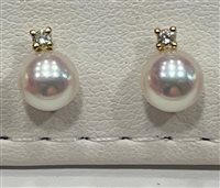 Earrings Salvini Woman in Yellow Gold Perla 46508503 - 46508503